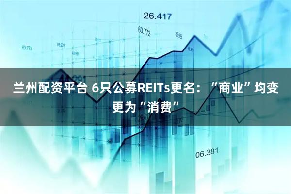 兰州配资平台 6只公募REITs更名：“商业”均变更为“消费”